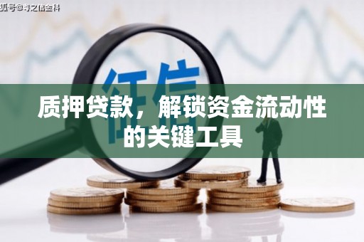 宁蒗质押贷款，解锁资金流动性的关键工具
