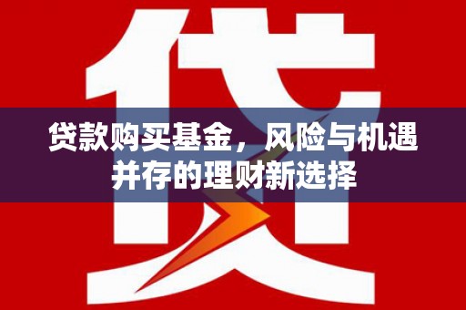 宁蒗贷款购买基金，风险与机遇并存的理财新选择