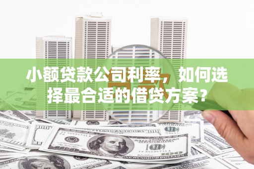 宁蒗小额贷款公司利率，如何选择最合适的借贷方案？