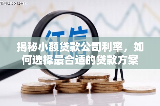 宁蒗揭秘小额贷款公司利率，如何选择最合适的贷款方案