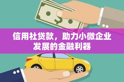 宁蒗信用社贷款，助力小微企业发展的金融利器
