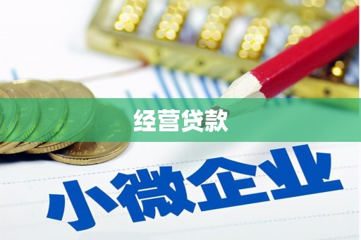 宁蒗经营贷款