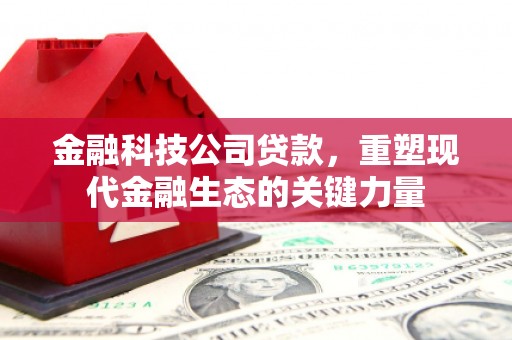 宁蒗金融科技公司贷款，重塑现代金融生态的关键力量