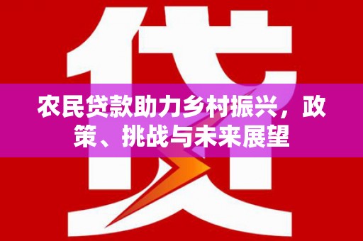 宁蒗农民贷款助力乡村振兴，政策、挑战与未来展望