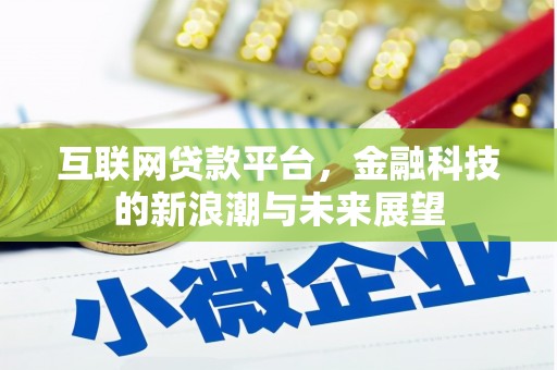 宁蒗互联网贷款平台，金融科技的新浪潮与未来展望