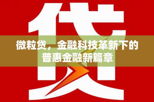 宁蒗微粒贷，金融科技革新下的普惠金融新篇章