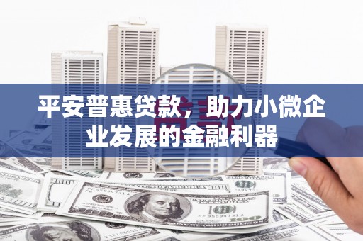 宁蒗平安普惠贷款，助力小微企业发展的金融利器