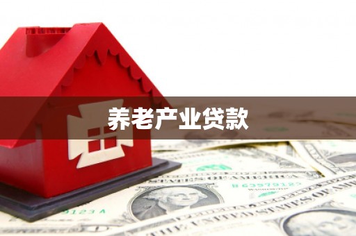 宁蒗养老产业贷款