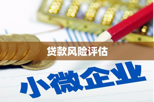 宁蒗贷款风险评估
