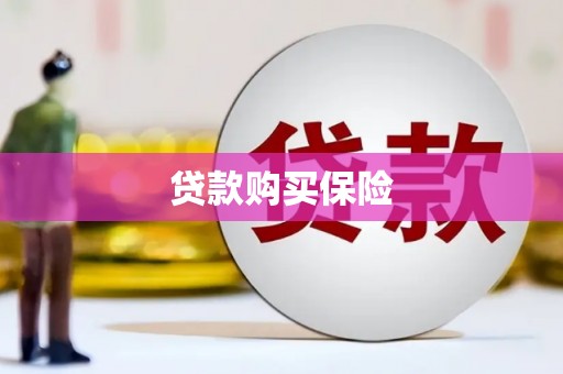 宁蒗贷款购买保险
