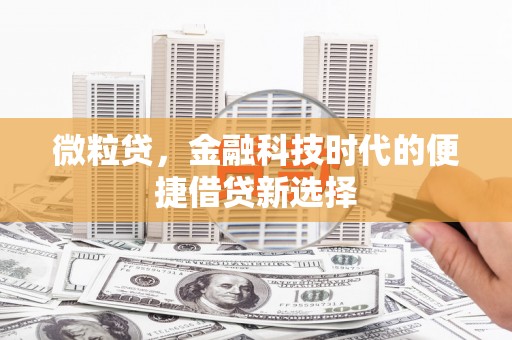宁蒗微粒贷，金融科技时代的便捷借贷新选择