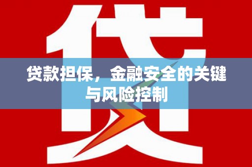 宁蒗贷款担保，金融安全的关键与风险控制