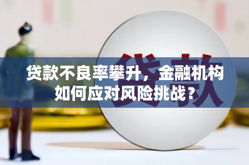 宁蒗贷款不良率攀升，金融机构如何应对风险挑战？