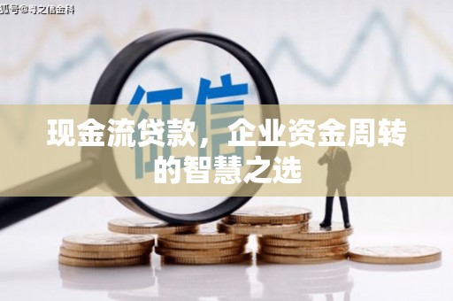 宁蒗现金流贷款，企业资金周转的智慧之选