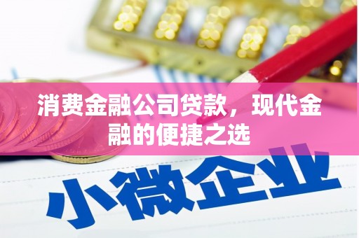 宁蒗消费金融公司贷款，现代金融的便捷之选