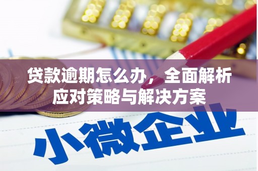 宁蒗贷款逾期怎么办，全面解析应对策略与解决方案