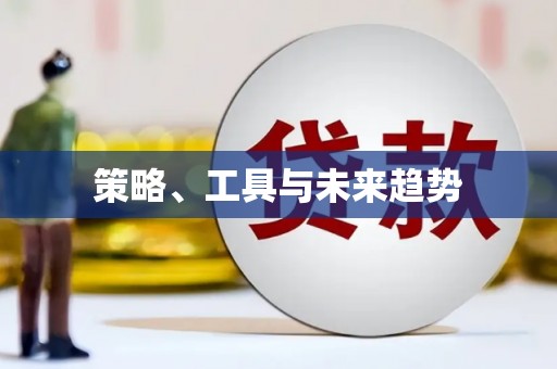 宁蒗策略、工具与未来趋势