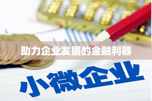 宁蒗助力企业发展的金融利器