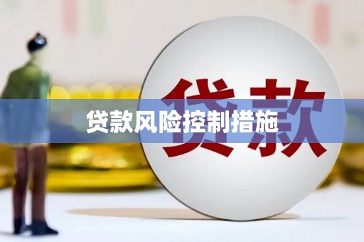 宁蒗贷款风险控制措施