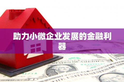 宁蒗助力小微企业发展的金融利器