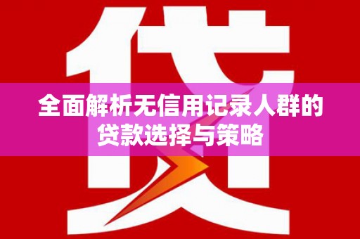 宁蒗全面解析无信用记录人群的贷款选择与策略