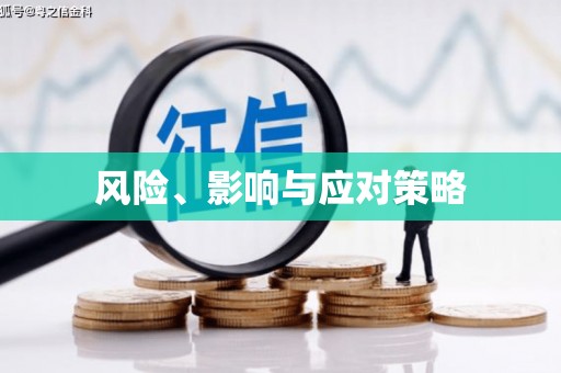 宁蒗风险、影响与应对策略
