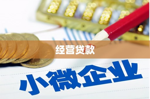 宁蒗经营贷款