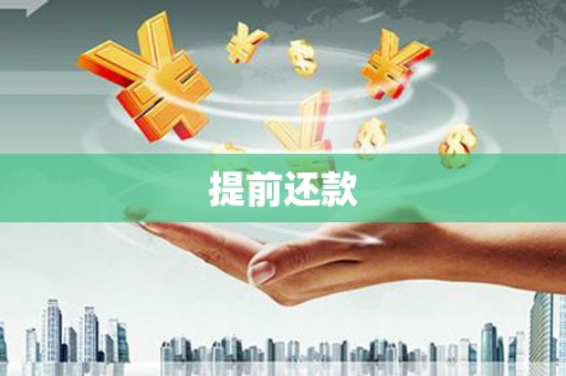 宁蒗提前还款